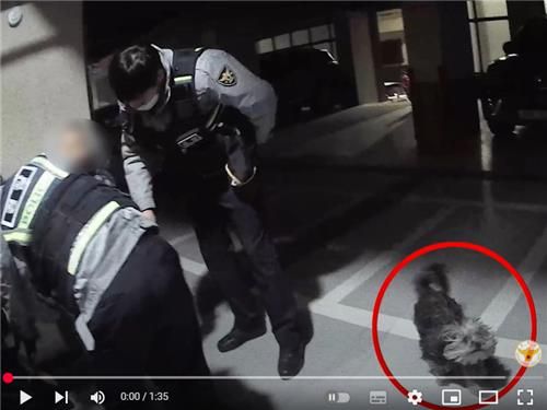 치매 할머니 발견 당시 옆에 있던 '까미'