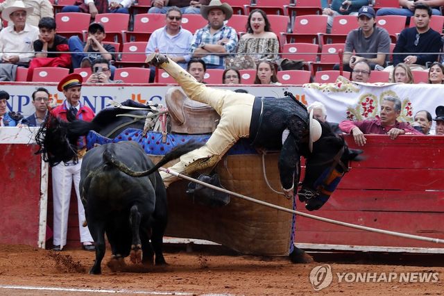 지난 2일(현지시간) 멕시코시티에서 열린 투우 경기