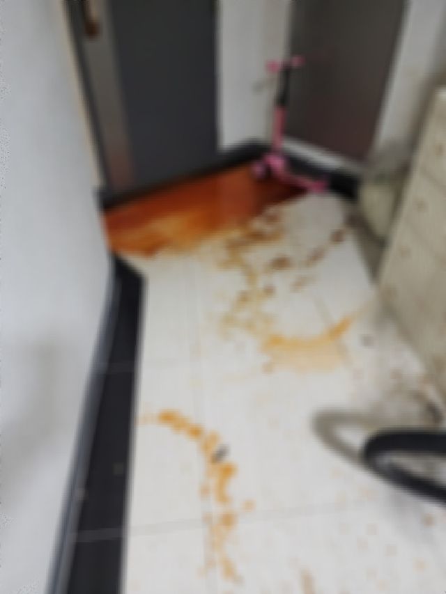 아파트 현관에 액젓·분뇨