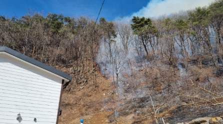 평창 산불 현장