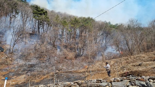평창 산불 현장