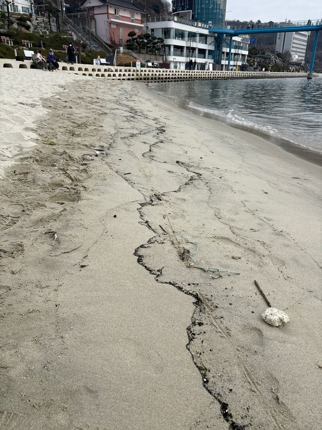 해안가 오염시킨 검댕