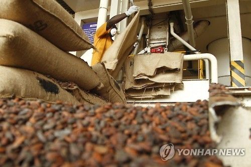 코트디부아르 수도 아비장의 초콜릿공장에서 재료인 코코아빈이 포대에서 나온 모습
