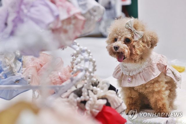 '오늘의 주인공은 나'