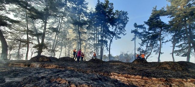 화재가 난 과수원 인근 들
