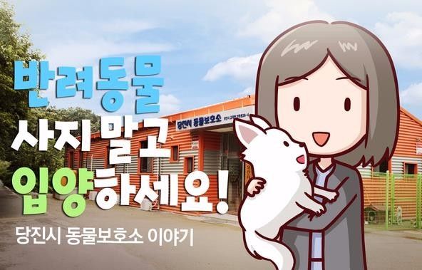 유기동물 입양 홍보 포스터