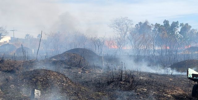 제주 서귀포 야초지 화재