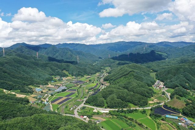 청일 선도산림경영단지