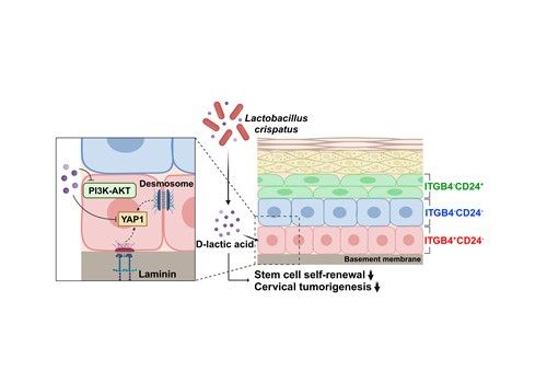 [DGIST 제공.재판매 및 DB 금지]