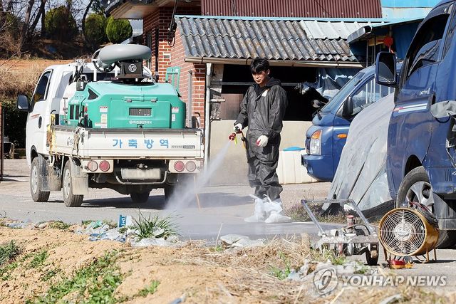 구제역 발생한 전남 영암 한우농장