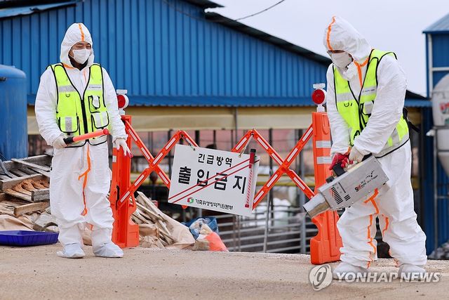 '확산하는 구제역' 소독약 살포하는 방역본부