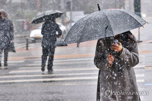 3월에 내리는 눈