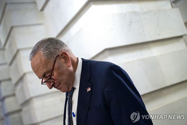 슈머 미국 민주당 상원 원내대표
