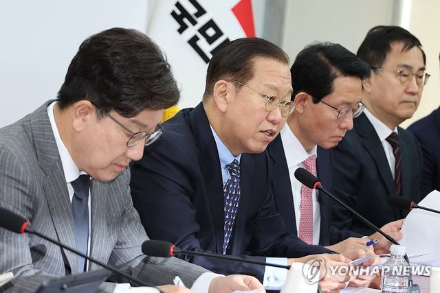 국민의힘 비상대책위원회의