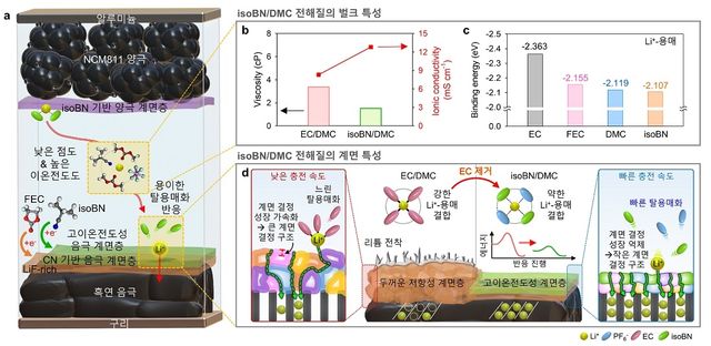 리튬 이온 배터리의 전해질 용매 원리 