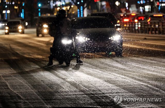 폭설에 거북이 주행