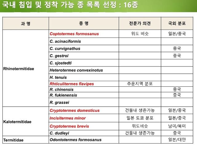 국내 침입 및 향후 정착 가능성 높은 흰개미 종 