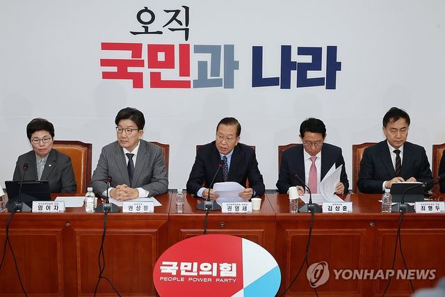 국민의힘 비상대책위원회의