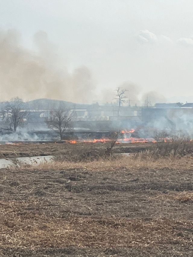 천안 안성천 인근 갈대숲 화재