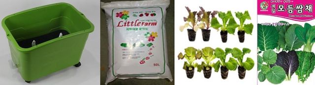 서대문구 상자텃밭 세트
