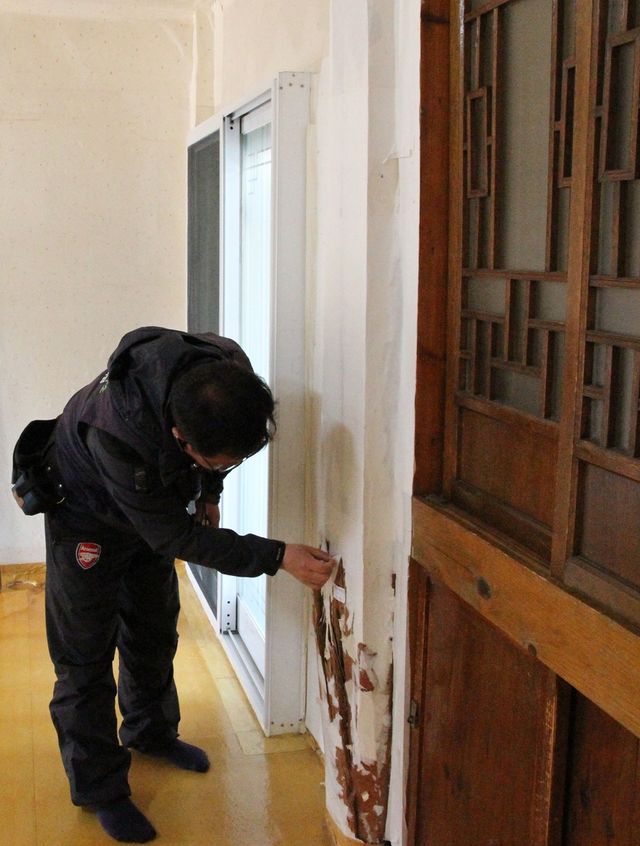 목조건축 흰개미 피해 조사 모습 