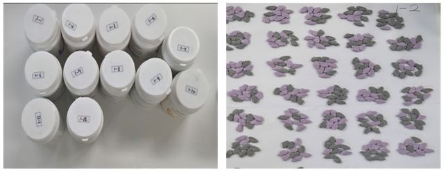 건강기능식품 용기(왼쪽)에 은닉된 엑스터시(오른쪽)