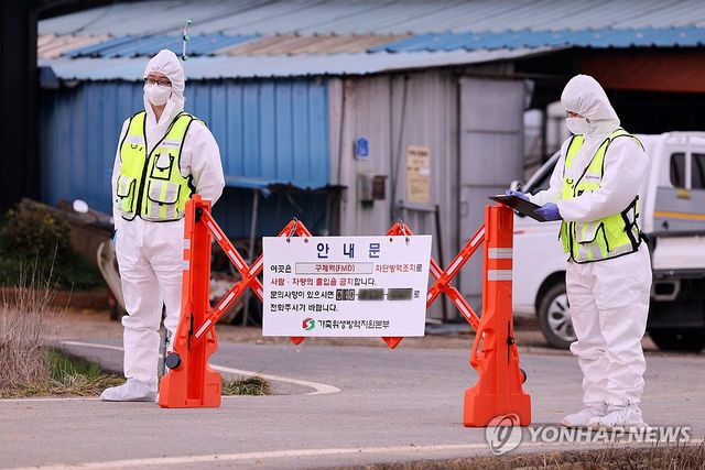 '확산하는 구제역' 소독약 살포하는 방역본부