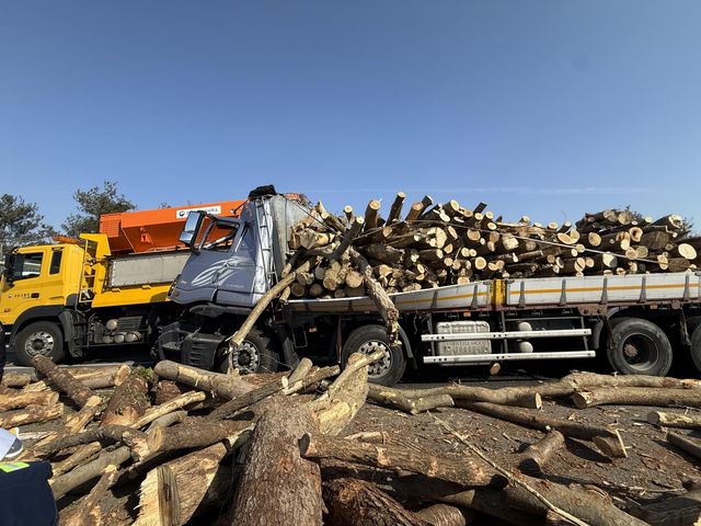 사고가 난 차량