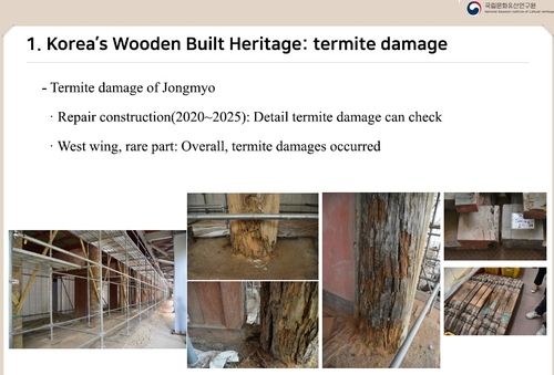 '세계유산' 종묘의 흰개미 피해 모습 