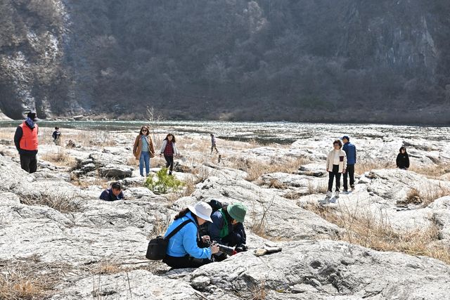 지난해 정선 동강할미꽃 축제 모습