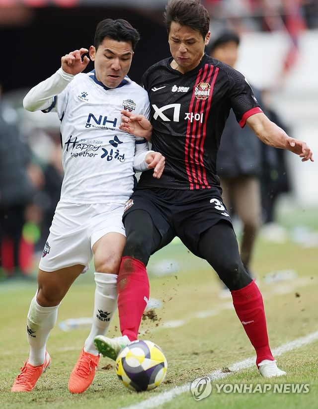 원기종과 몸싸움하는 FC서울 김주성(오른쪽)