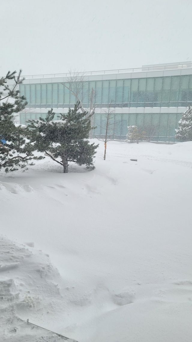 눈 내린 강원대 도계 캠퍼스