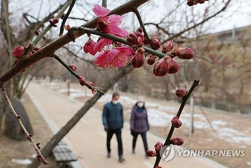 [연합뉴스 자료사진]