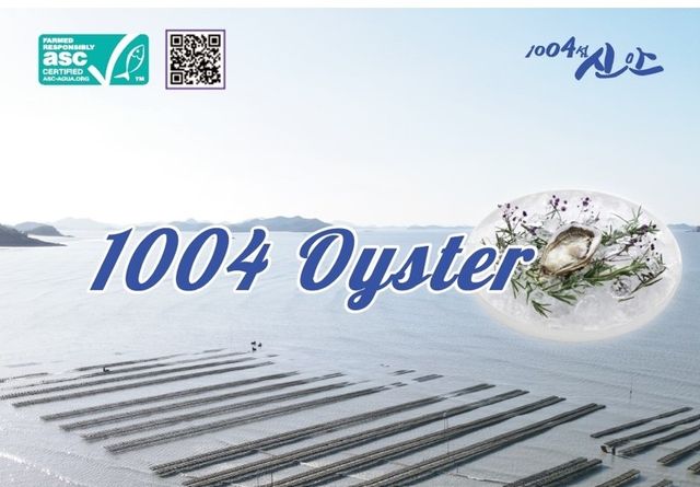 '1004 굴' 