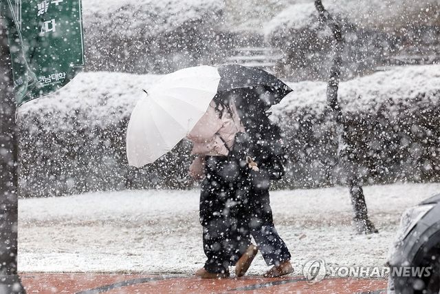 우산으로 막는 춘삼월 눈보라
