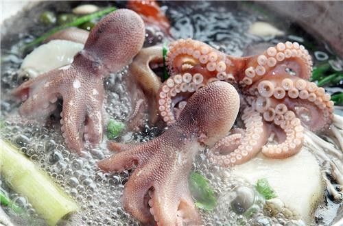 주꾸미 샤부샤부