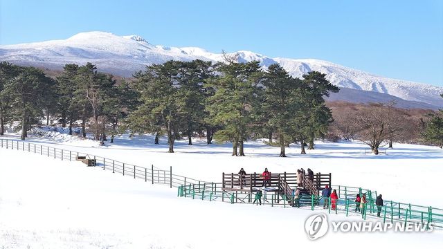마방목지에서 보는 한라산 설경