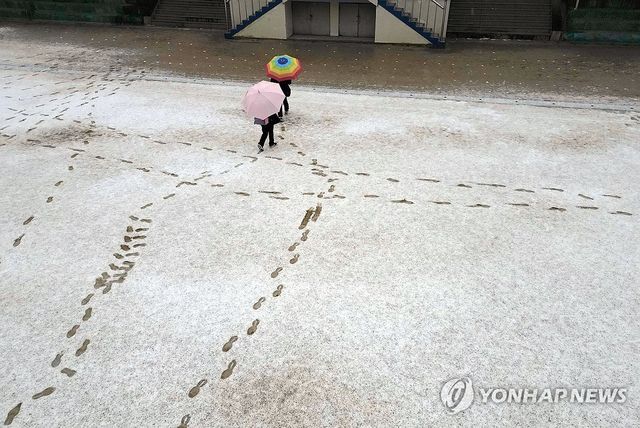 2025년 2월 눈 내린 풍경