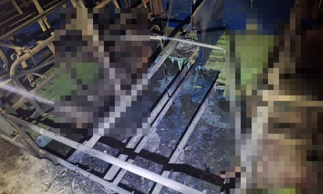 제주 양돈장 화재