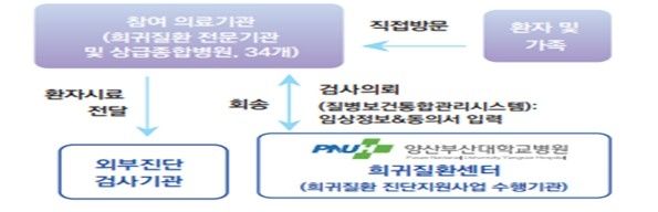 희귀질환자 진단지원 사업 업무 체계