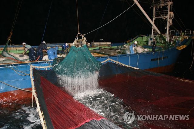 대형선망어선 조업 모습