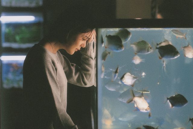 영화 '쉬리' 속 한 장면