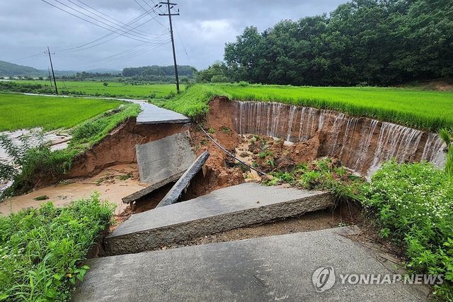 작년 여름철 장미로 유실된 농경지와 농로