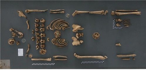 정인학 하사 유해