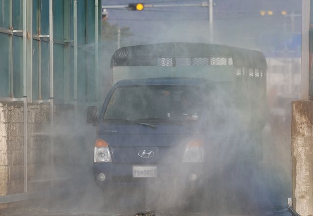 고령 우시장 입구에 설치된 소독 시설