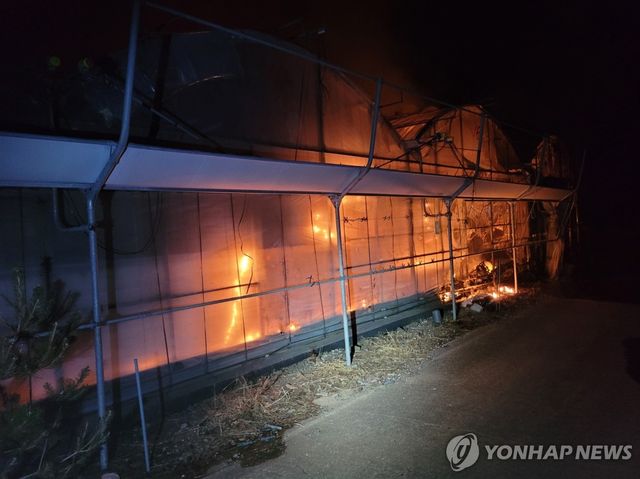 양란 재배 비닐하우스 화재
