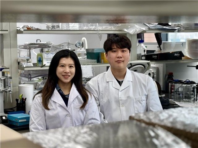 카이랄 나노 페인트 기술 개발한 KAIST 연구팀 