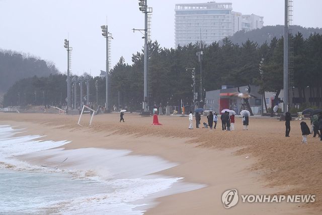 동해안에 내리는 단비