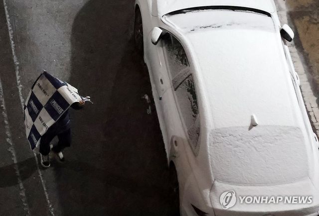 포장지로 눈 피하기