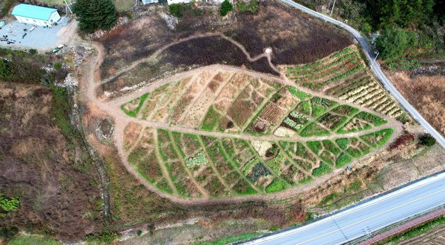 영월 청년마을 밭멍